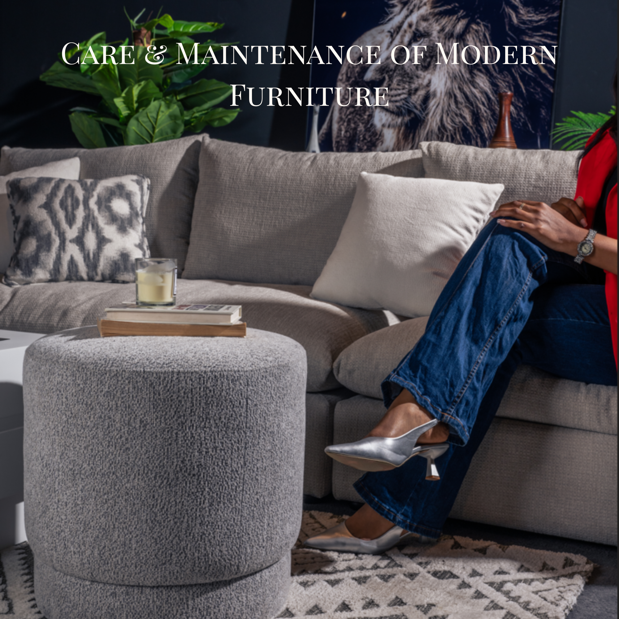 Care & Maintenance of Modern Furniture