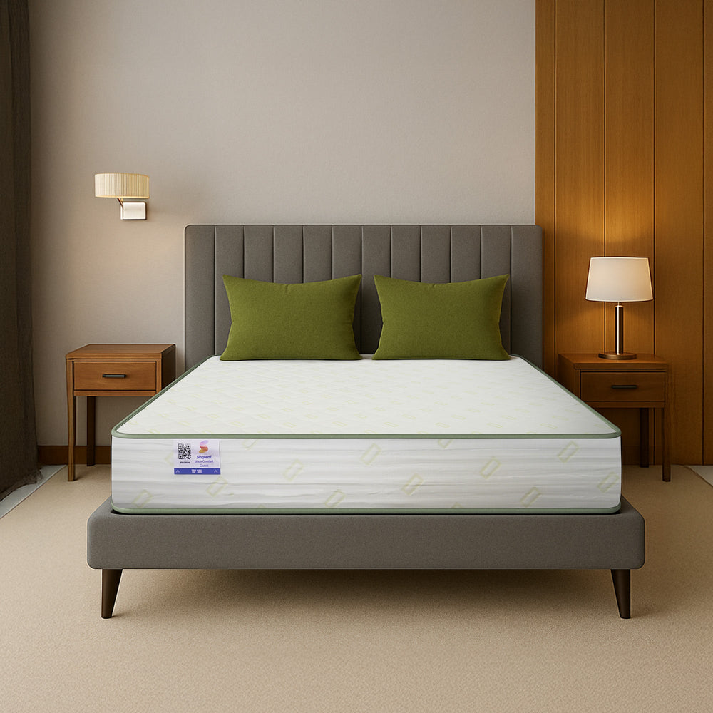 Utsav Comfor Classic Single Bed Living Point