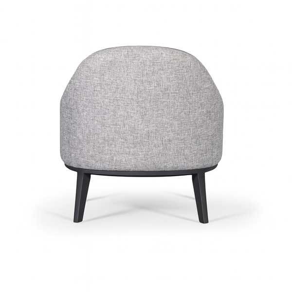 Adam Accent Chair Back Side View from Living point