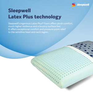 Latex Plus Regular Pillow Living Point