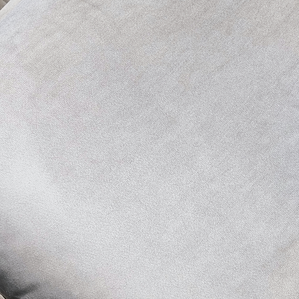Amber Plush Velvet Pillow from Living Point