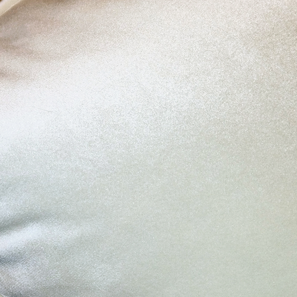 Champagne Plush Velvet Pillow from Living Point