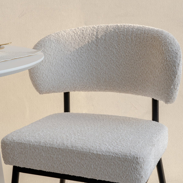 Dining Chair-1201 Backrest Close View from Living point