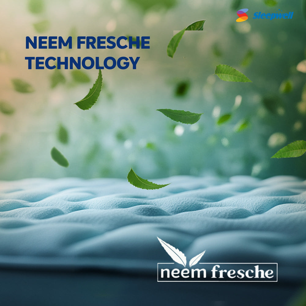 Fitrest Classic Twin Bed Living Point