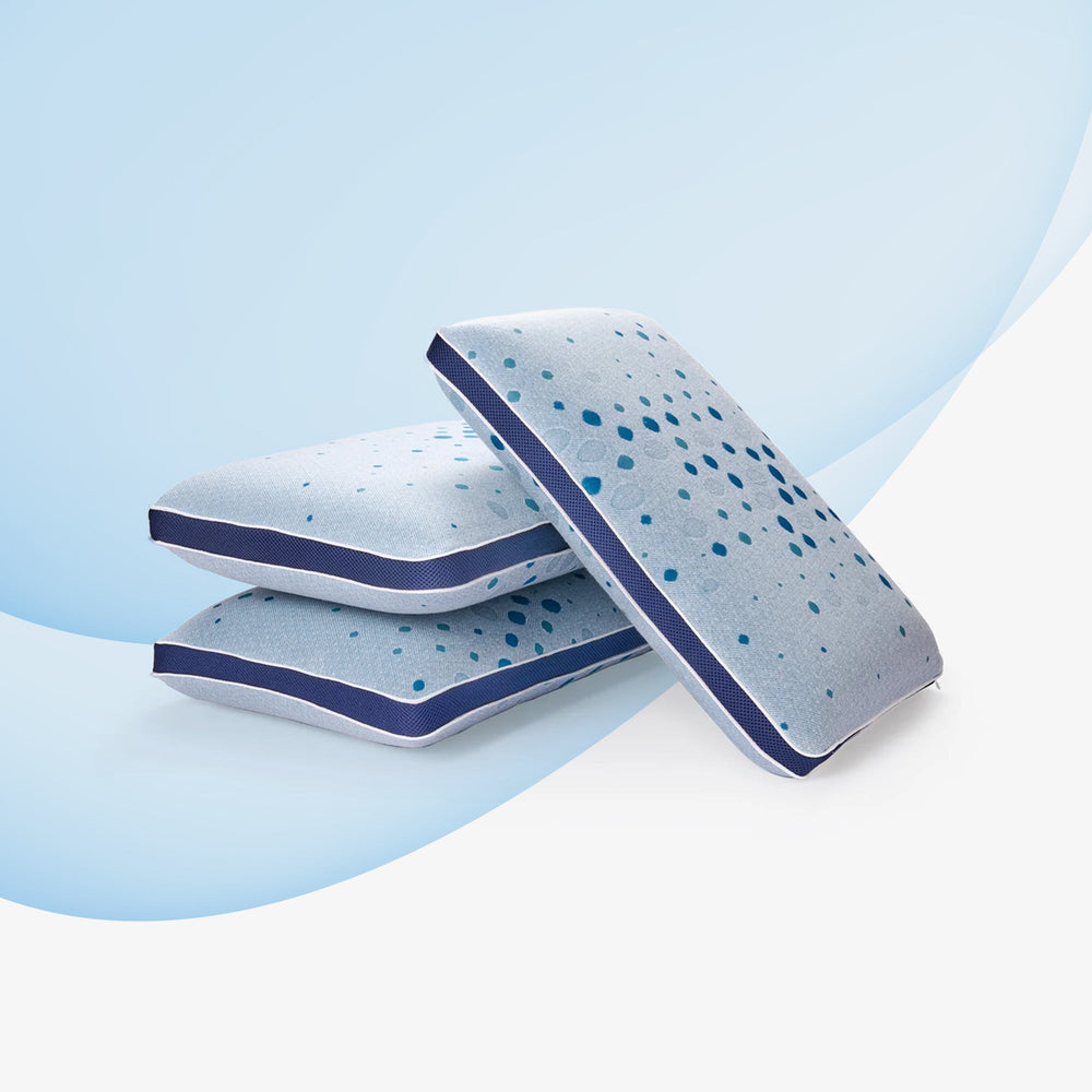 Sleepwell Latex Plus Regular Pillow from Living point