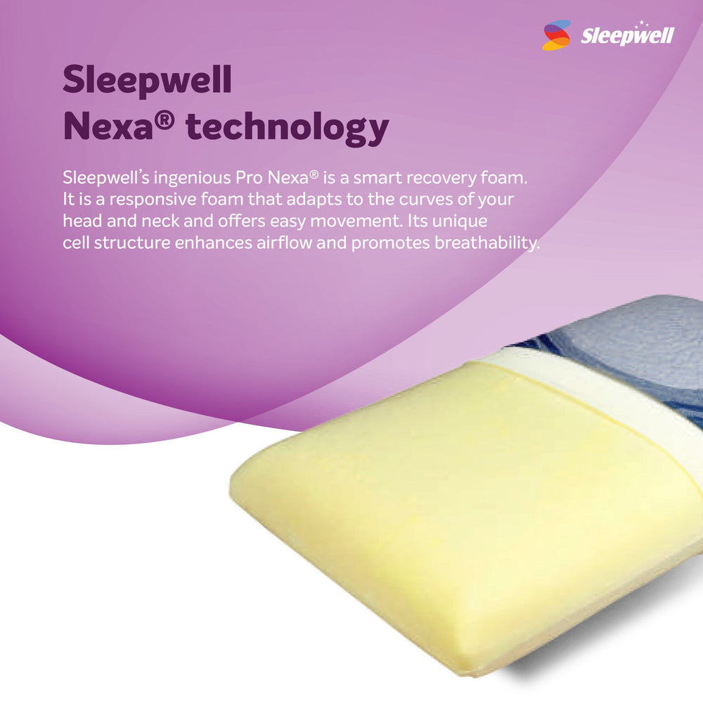 Sleepwell Nexa Regular Pillow from Living point