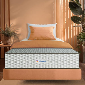 Dual Pro Foam Twin Bed Living Point AE