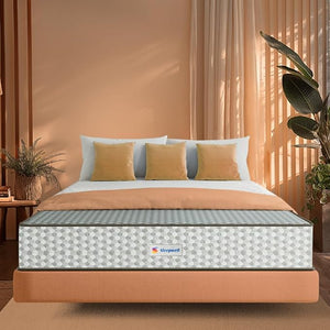 Dual Pro Foam King Bed Living Point AE