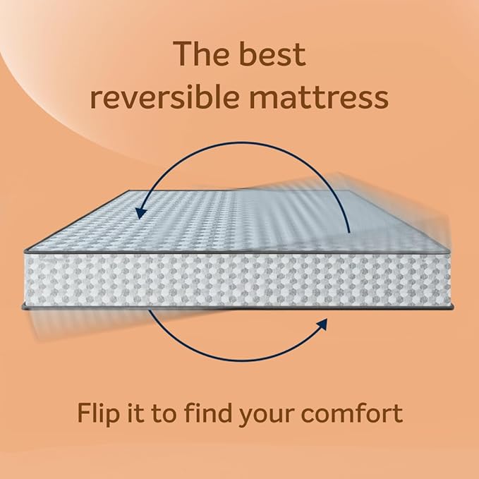 Dual Pro Foam Single Bed Living Point AE