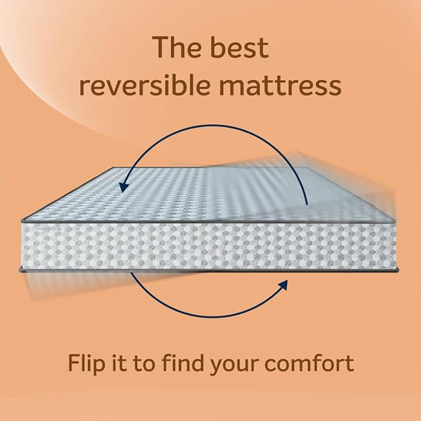 Dual Pro Foam Super King Bed Living Point AE