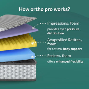 Ortho Pro Foam Queen Bed Living Point AE