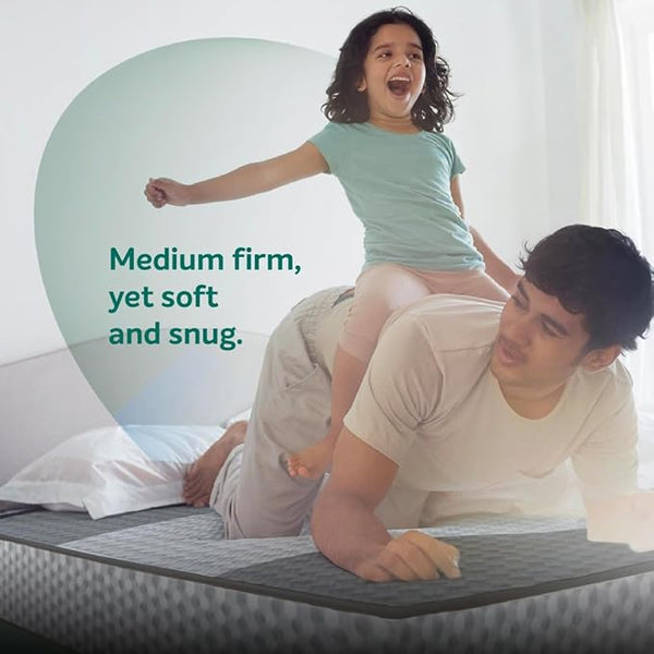 Ortho Pro Foam King Bed Living Point AE